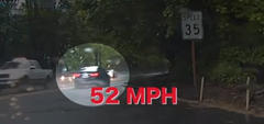 Police chase stopped by ducks on the road (video)