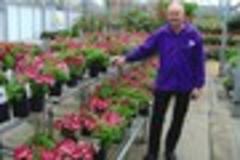 Brighten the town with garden glory