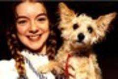 Scunthorpe played part in success of BAFA winner Sheridan Smith