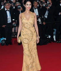 Bollywood celebs at the 66th Cannes Film Festival
